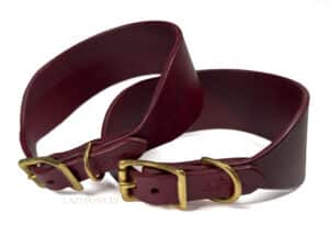 hound leather dog collar