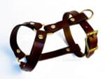 small dog leather harness