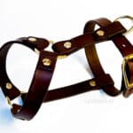 small dog leather harness