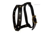 decorated small dog harness Lazypony