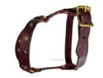 h shaped dog harness Lazypony