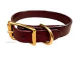Plain Leather Dog Collar with Name Tag Lazypony