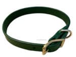 Green Leather Dog Collar Classic with Name Tag Lazypony