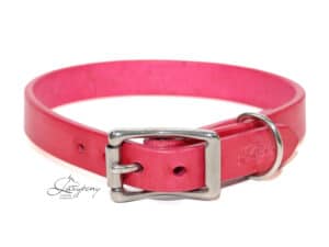 plain pink leather dog collar Lazypony