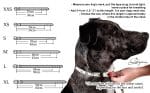 dog leather collar size chart