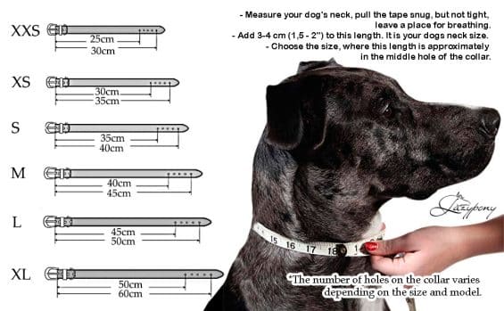 dog leather collar size chart
