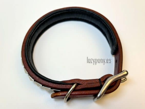 clincher dog collar Lazypony