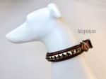clincher dog collar Lazypony