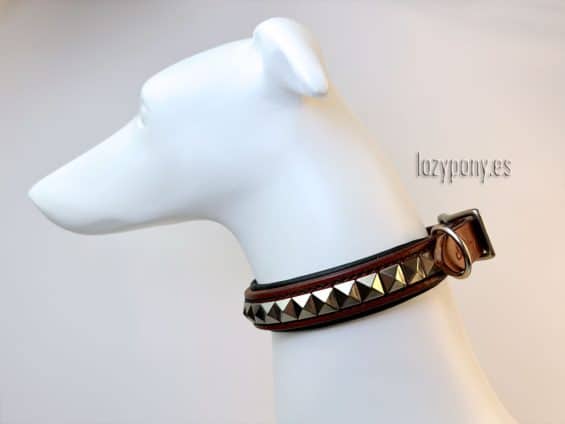 clincher dog collar Lazypony