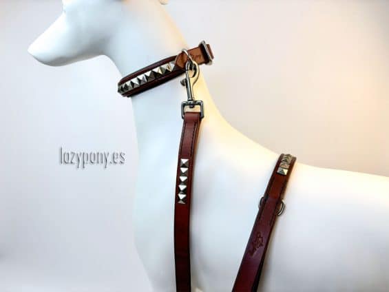 clincher dog collar and leash set Lazypony