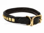 clincher dog collar