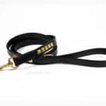 clincher dog leash