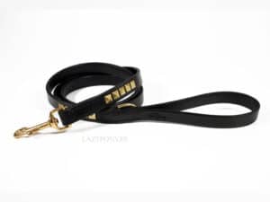 clincher dog leash
