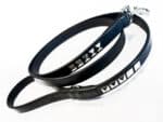 clincher dog leash