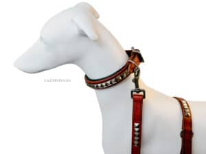 brown Studded Collar with name tag and lead Lazypony