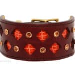 gothic orange leather dog collar Lazypony