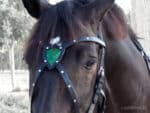 X browband Shield Lazypony, leather handmade cross browband for horses