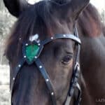 X browband Shield Lazypony, leather handmade cross browband for horses