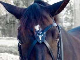 Leather X-browband Gothic Lazypony, handmade horse cross browband