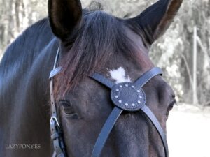 Leather X browband Celtic Lazypony, medieval custom cross browband