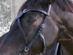 Leather X browband Celtic Lazypony, medieval custom cross browband