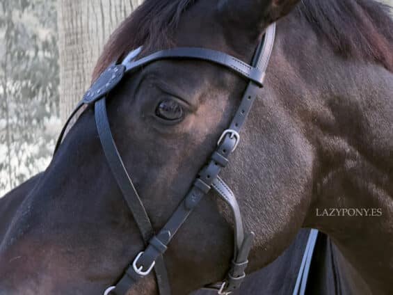 Leather X browband Celtic Lazypony, medieval custom cross browband
