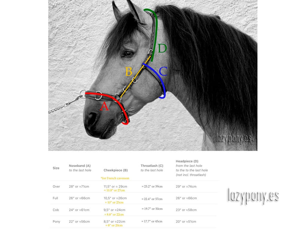 cavesson size chart