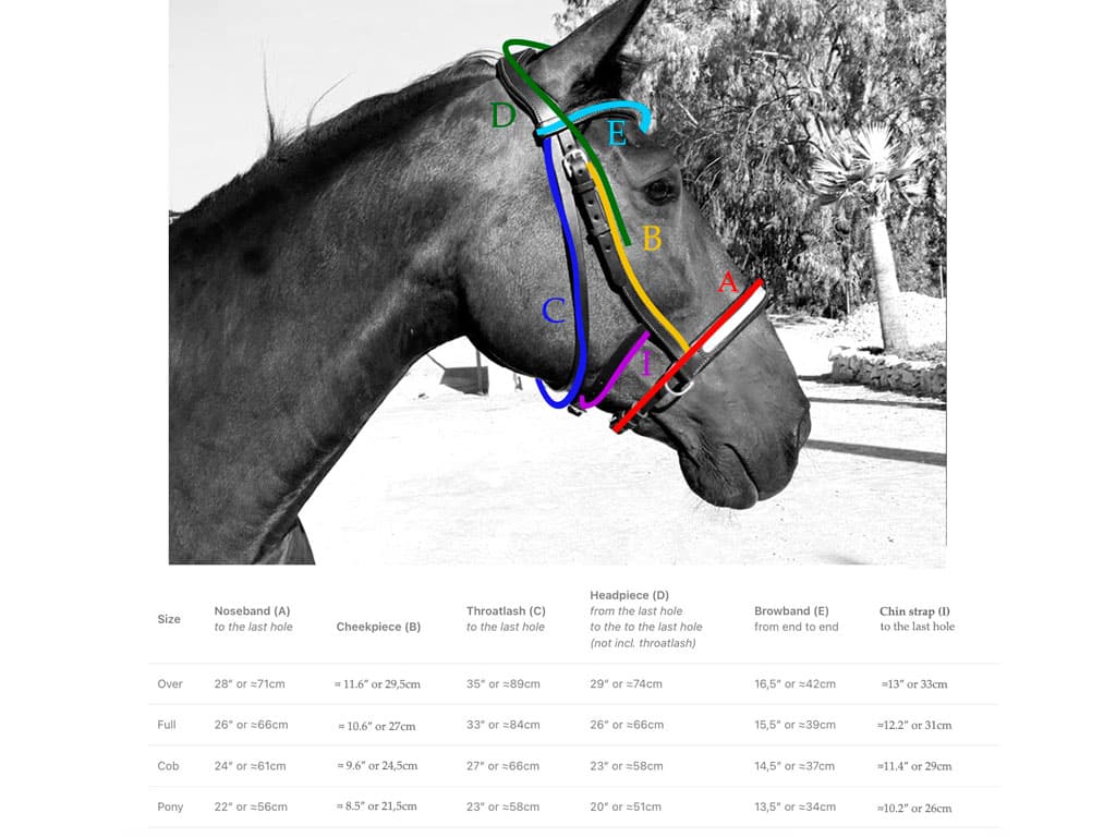 sidepull size chart