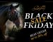 horse tack shop black friday 2024