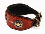 personalized leather cod collar Texas Lazypony