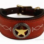 personalized leather cod collar Texas Lazypony