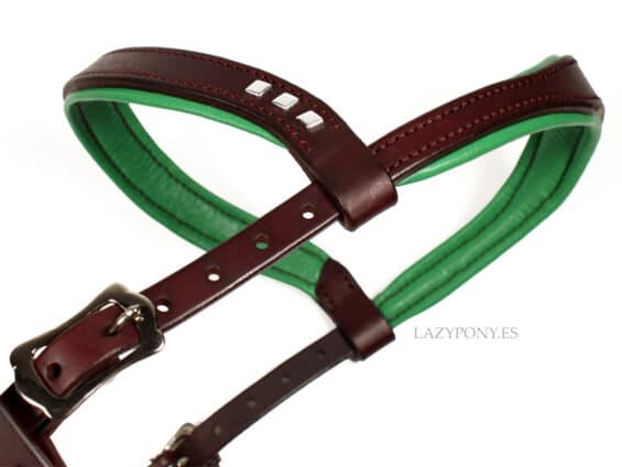 sidepull bitless bridle