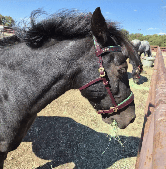 Image #1 from TinyPinkTutu