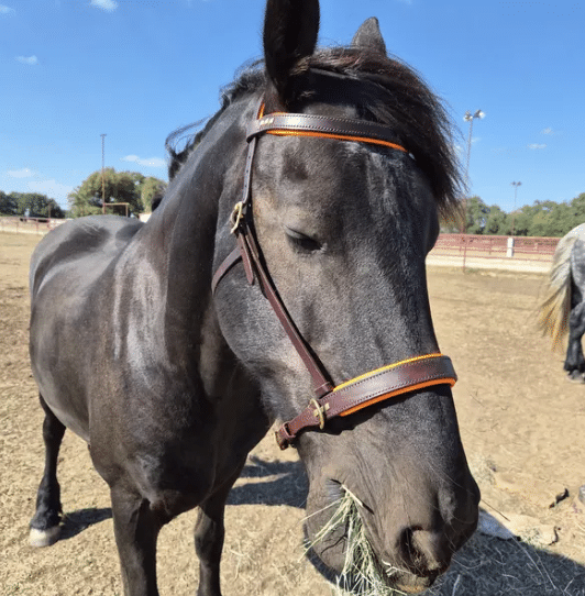 Image #1 from TinyPinkTutu