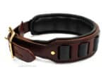 wide leather dog collar