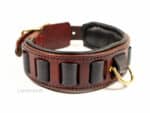 wide leather dog collar