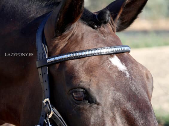 classic horse bridle Lazypony clincher browband