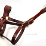 Brown leather halter classic lazypony with raised noseband