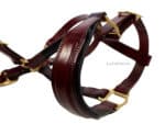 raised nose halter lazypony