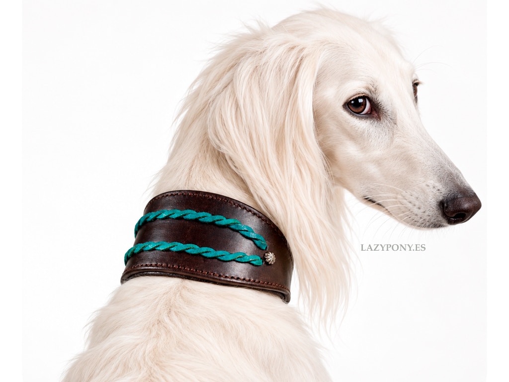 Braided greyhound collar Ronda Lazypony with Name Tag