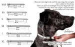 collar size