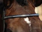 Straight clincher browband Lazypony