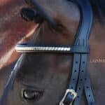 Straight clincher browband Lazypony