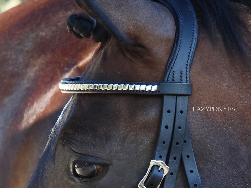 2093 Straight clincher browband Lazypony