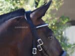 Straight clincher browband Lazypony