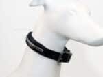 Classic clincher leather dog collar Lazypony, handmade adjustable collar
