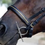 padded clincher noseband Lazypony