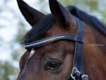 white pearl wave browband Lazypony