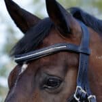 white pearl wave browband Lazypony