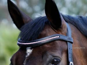 pink pearl wave browband Lazypony